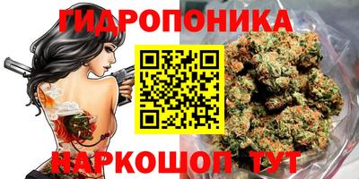 молекула духа Гатчина