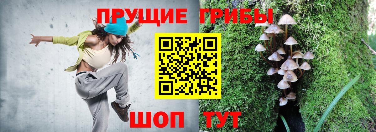 Галлюциногенные грибы мухоморы  Вход с VPN  Карабулак 