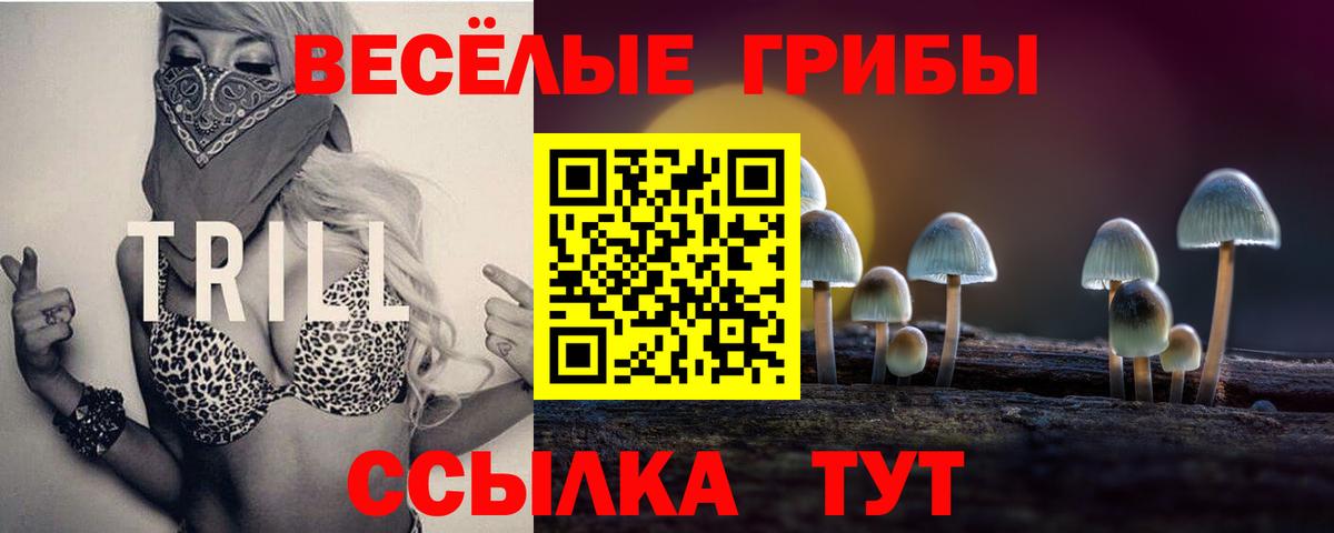Псилоцибиновые грибы мухоморы Карабулак